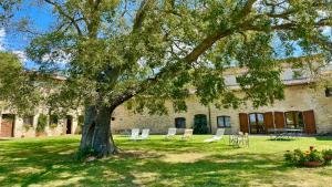 Kép Exclusive Pool-open All Year-spoleto Biofarm-slps 8-village shops, bar1 km 6 szállásáról Poretában a galériában