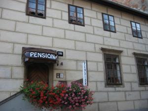 a building with a flower pot in front of it at Pension Archa in Znojmo
