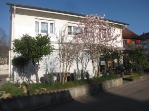 Zahrada ubytování Gästehaus3land in Weil am Rhein