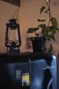 a lamp and a plant on top of a refrigerator at Vía Láctea in Tilcara