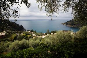 a view of a body of water from a hill at Casa Orchidea - Vista Mare meravigliosa in Bonassola