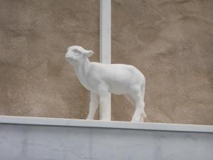 Altri animali domestici presso il bed & breakfast o nei dintorni