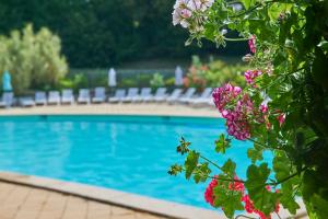 a view of a swimming pool with flowers at Village de Montmarsis in Gourdon