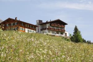 ein Haus auf einem Hügel mit einem Blumenfeld in der Unterkunft Pension Bergland in Lech am Arlberg