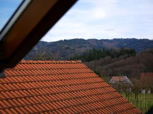 Cette chambre offre une vue sur un toit en carrelage avec des montagnes en arrière-plan. dans l'établissement Ferienwohnung Obere Alm, à Oberkirch