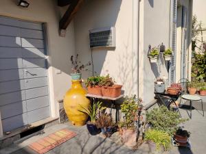 Zahrada ubytování Villa Scalabrini