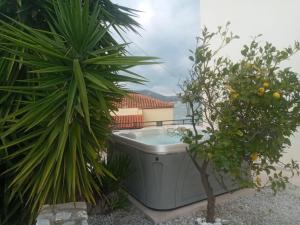 een hot tub in een tuin met een palmboom bij Kalyves Mili's house sea view in Plaka