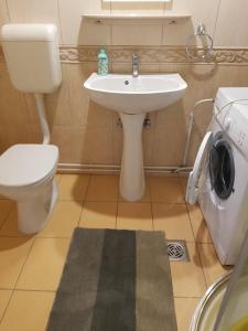 La salle de bains est pourvue de toilettes, d'un lavabo et d'un lave-linge. dans l'établissement Medences, panoramas nyaralo Sukoron, à Sukoró