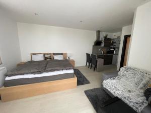 Postel nebo postele na pokoji v ubytování Plně vybavený krásný apartmán 1kk s balkonem, výhledem