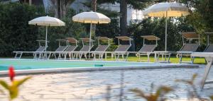 Bazén v ubytování Hotel Sirena nebo v jeho okolí + 10 fotografií