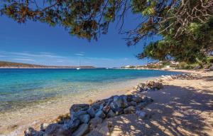 En strand vid eller i närheten av lägenheten