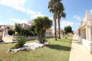 una fila de palmeras en un patio junto a un edificio en Ferienhaus mit Privaten Pool, en Alicante