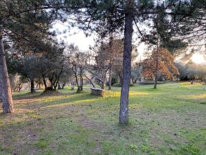 Fotografia z galérie ubytovania Bandita - Tenuta di Montechiaro v destinácii Vico dʼArbia