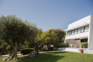Zahrada ubytování Villa Oasis with Large Pool Athenian Riviera Lagonissi
