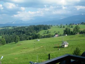 a green field with a house on top of it at U Poraja in Ząb