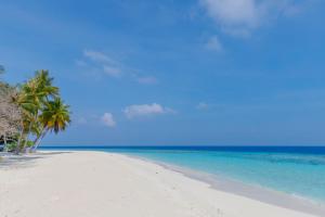 einen weißen Strand mit Palmen und dem Meer in der Unterkunft Nihaali Maldives in Kudarikilu