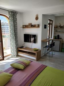奥布佐尔Obzor Tatyana Apartaments Natura的卧室里有一张大床，墙上有一台电视