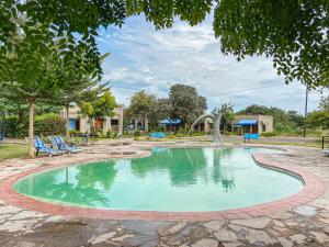 a swimming pool in a park with chairs and trees at Elephant View Lodge & Apartments in Livingstone