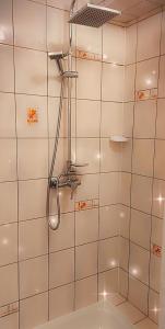 łazienka z prysznicem z głowicą prysznicową w obiekcie Villa Veronika w mieście Lądek-Zdrój