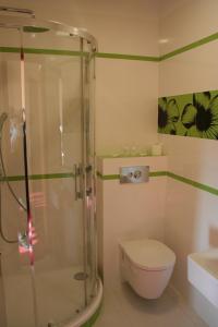 y baño con ducha, aseo y lavamanos. en Impresja, en Borek Wielkopolski