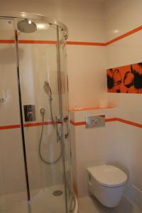 a bathroom with a shower and a toilet at Impresja in Borek Wielkopolski
