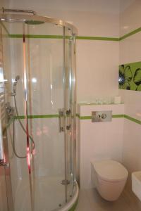 a bathroom with a toilet and a glass shower at Impresja in Borek Wielkopolski