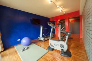 Fitness centrum a/nebo fitness zařízení v ubytování Hotel Bruno