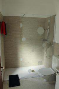 ein Bad mit einer Dusche und einem WC in der Unterkunft Ca da la nona in Cavigliano