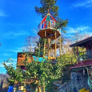 una casa en el árbol sentada en la parte superior de un edificio en Olimbera Köy Evi, en Artvin
