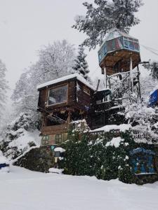 a large tree house in the snow with snow at Olimbera Köy Evi in Artvin