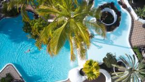 an overhead view of a swimming pool with a palm tree at Dreams Jardin Tropical Resort & Spa in Adeje