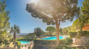 un complexe avec 2 piscines et un arbre dans l'établissement Villaggio Colombo V3 comfort, à Marina dʼAndora