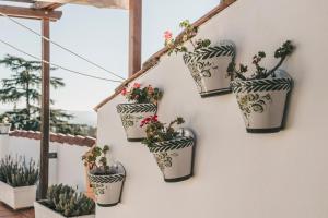 Imagen de la galería de Crisol Jardines de Córdoba, en Córdoba