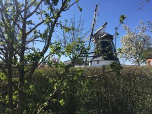 a windmill in the middle of a field with trees at Haus 5 Zehn in Werdum