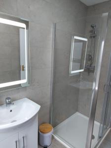 a bathroom with a shower and a sink at 4 Eyre Square Lane in Galway