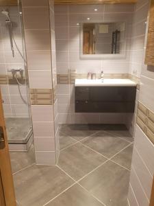un baño con lavabo y ducha en Le Slalom, en Tignes 3 fotos más
