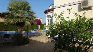 Les tres Calesにあるcasa Costa Doradaの隣庭のヤシの木
