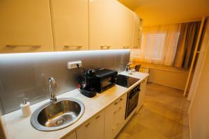 Cuina o zona de cuina de Apartman Lazaro Cacak