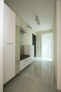 Cuina o zona de cuina de Apartman Lazaro Cacak