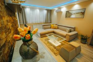 Zona d'estar a Apartman Lazaro Cacak