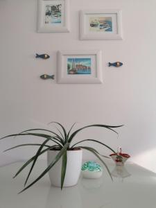 Fotografia z galérie ubytovania Apartment Soleil v destinácii Crikvenica