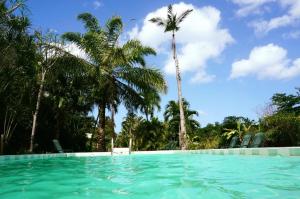 Swimmingpoolen hos eller tæt på Sunset Bay Club All Inclusive