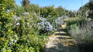 CorsanoにあるResidenza Arcangela con Piscine nel Salentoのギャラリーの写真