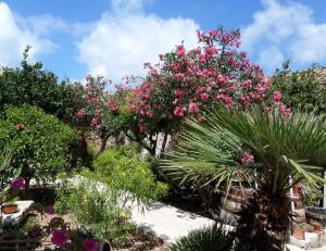 Photo de la galerie de l'établissement Baglio Bellavista, à Torre Nubia 61 autres photos