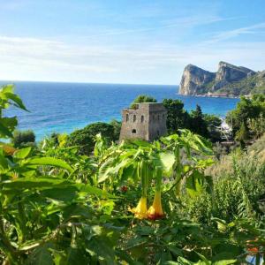 Afbeelding uit fotogalerij van Villaggio Residence Nettuno in Massa Lubrense