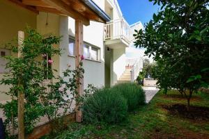 Zahrada ubytování Holiday Apartments Zora