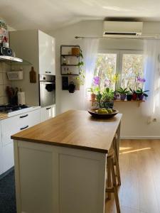 Kuchyň nebo kuchyňský kout v ubytování Apartman Zadar Centar(free parking and wi-fi)