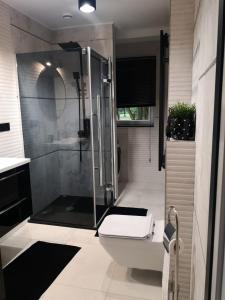 uma casa de banho com um chuveiro e um WC. em Apertament KOSMOS em Zabrze