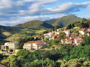 a village on a hill with mountains in the background at ROCADE DE COLLIOURE appt T4 avec grande terrasse et garage in Collioure