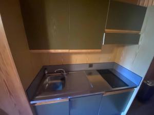 a small kitchen with a sink and green cabinets at Residence kurtz in Maso Corto